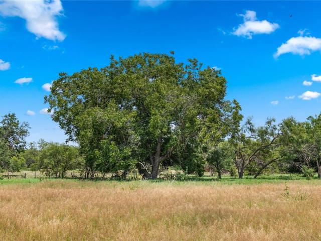 Land for sale in Callahan, Texas