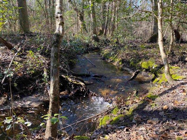 Land for sale in Barnwell, South Carolina