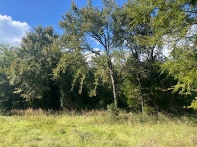 Land for sale in Limestone, Texas