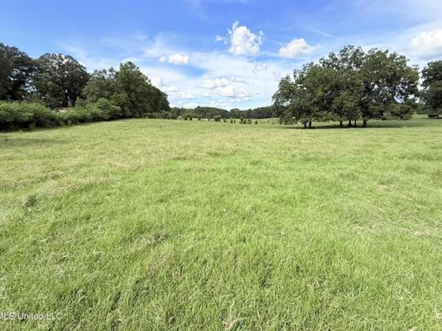 Land for sale in Bogue Chitto, Lincoln County