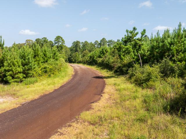 Land for sale in Zavalla, Texas