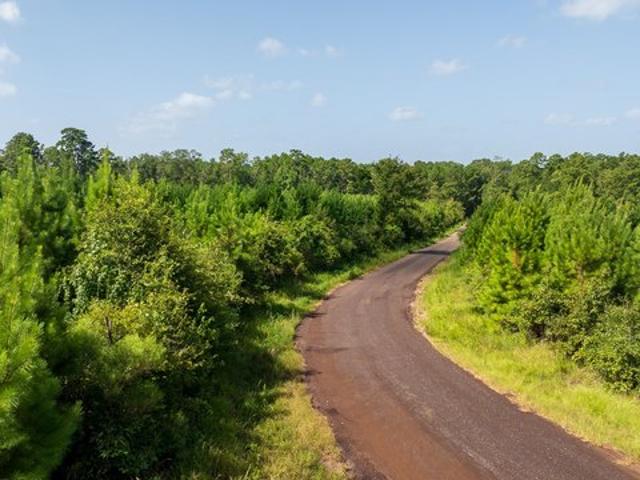 Land for sale in Zavalla, Texas