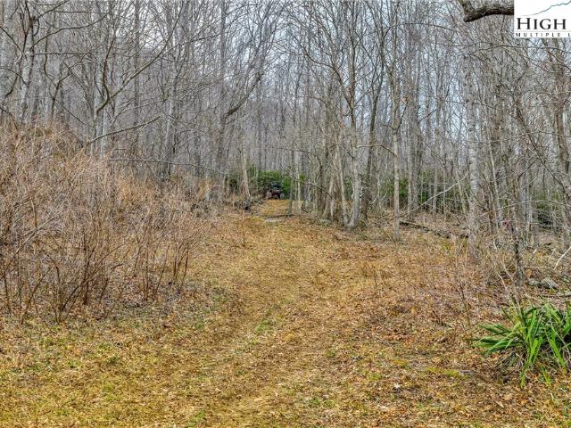 Land for sale in Todd, North Carolina