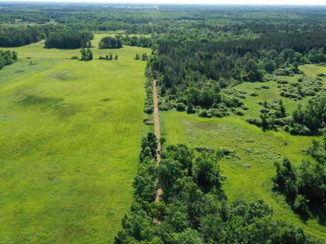 Land for sale in Wadena, Minnesota