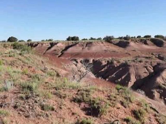 Farm for sale in Chambers, Arizona