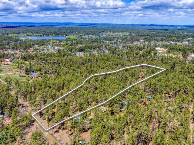 Land for sale in Navajo, Arizona
