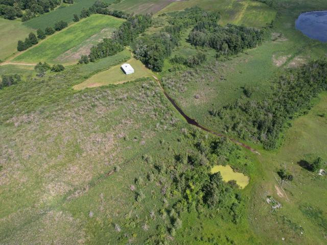 Land for sale in Todd, Minnesota