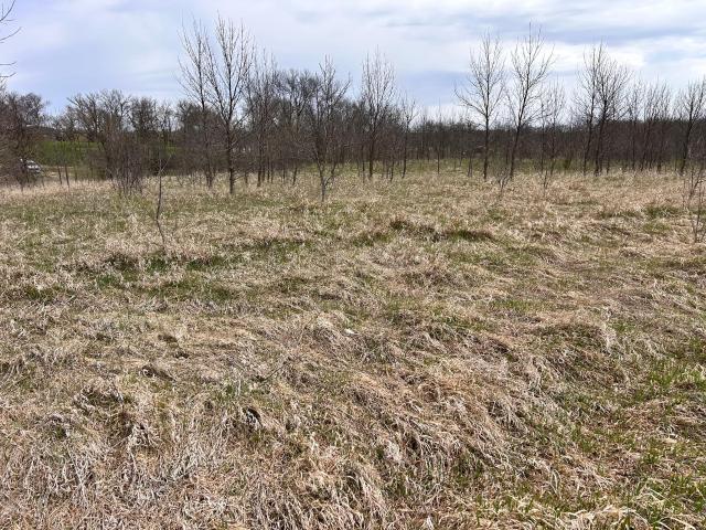 Land for sale in Grant, Minnesota
