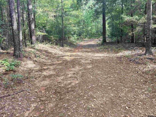 Land for sale in Rusk, Texas