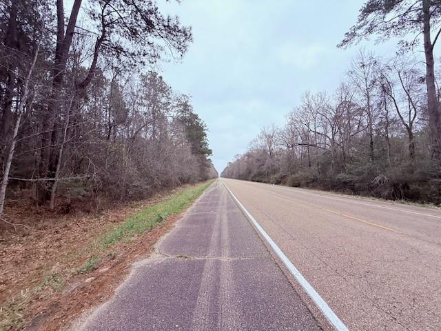 Land for sale in Angie, Louisiana