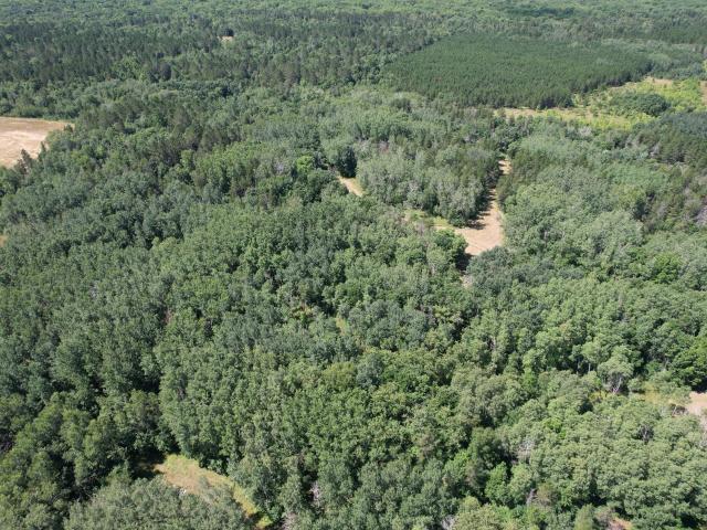 Land for sale in Wadena, Minnesota