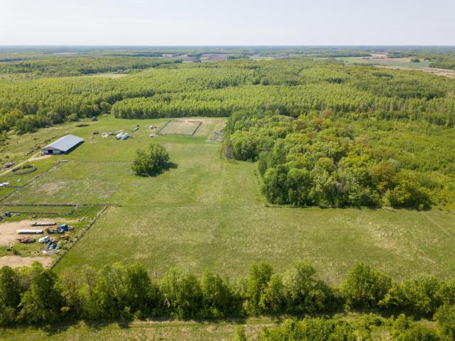 Land for sale in Todd, Minnesota