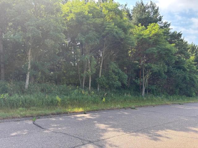 Land for sale in Cedar, Minnesota