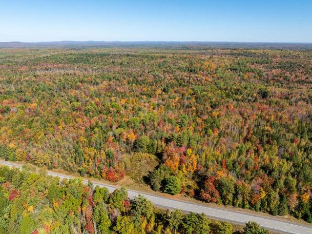 Land for sale in Waite, Maine