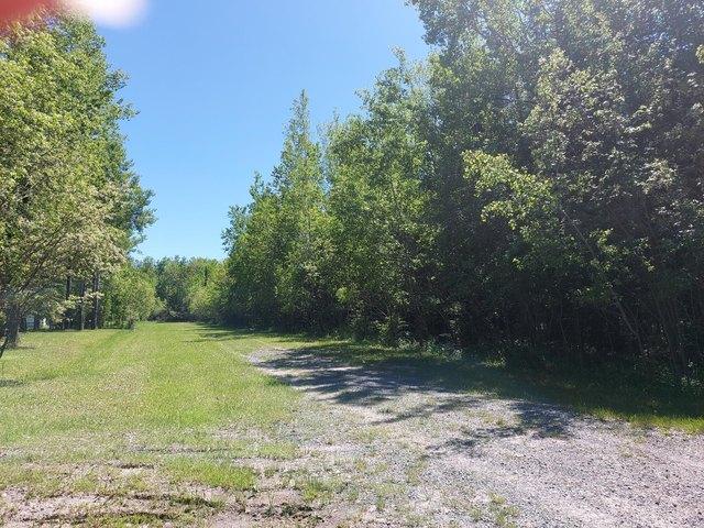 Land for sale in International Falls, Minnesota
