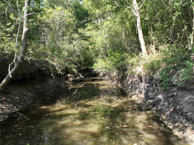 Land for sale in Lyons, Texas