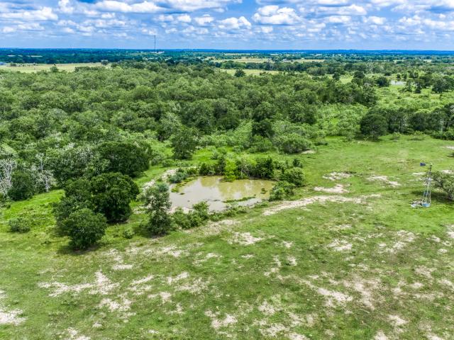 Land for sale in Lyons, Texas