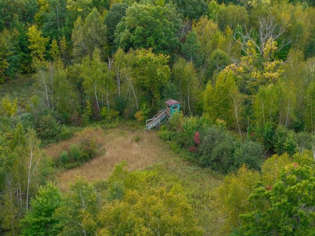 Land for sale in Brill, Wisconsin