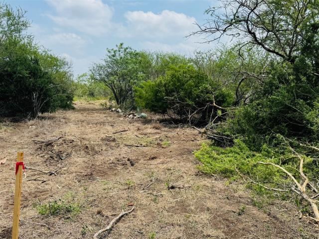Land for sale in Bee, Texas