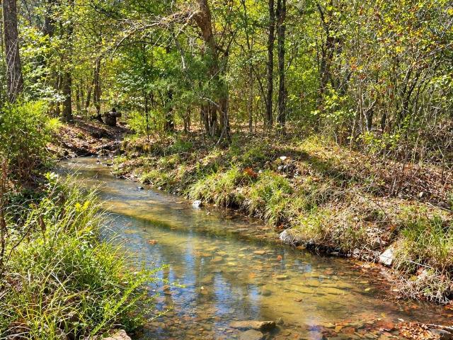 Land for sale in Norman, Montgomery County