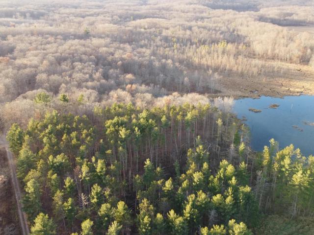 Land for sale in Wisconsin