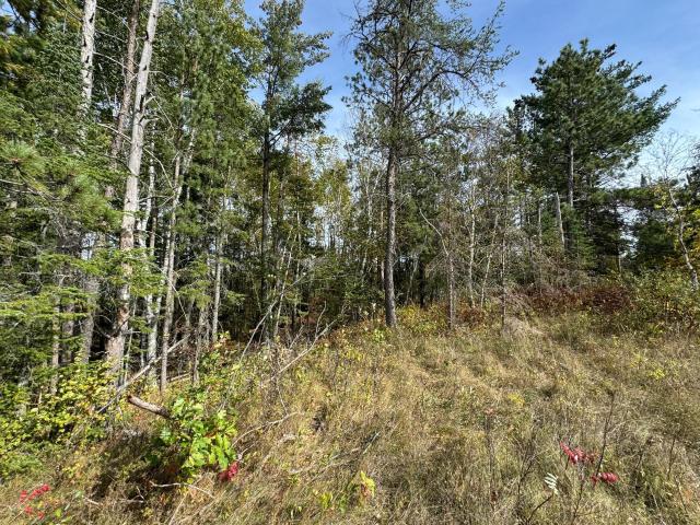 Land for sale in Shevlin, Minnesota