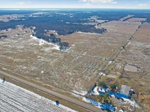 Land for sale in Ivanhoe, Texas