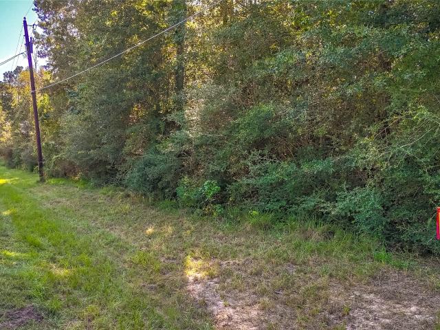 Land for sale in Polk, Texas