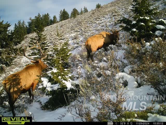 Land for sale in Georgetown, Idaho