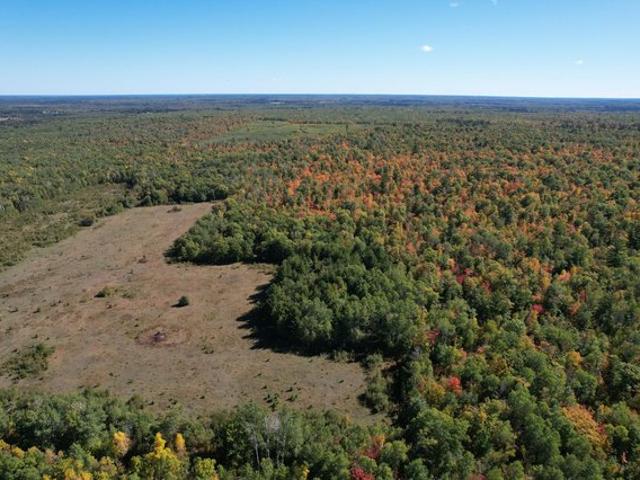 Land for sale in Laporte, Hubbard County