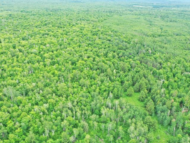 Land for sale in Hubbard, Minnesota