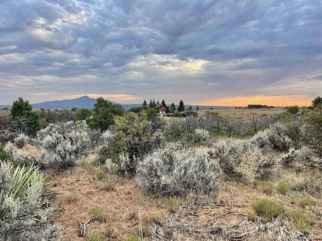 Land for sale in Dolores, Montezuma County