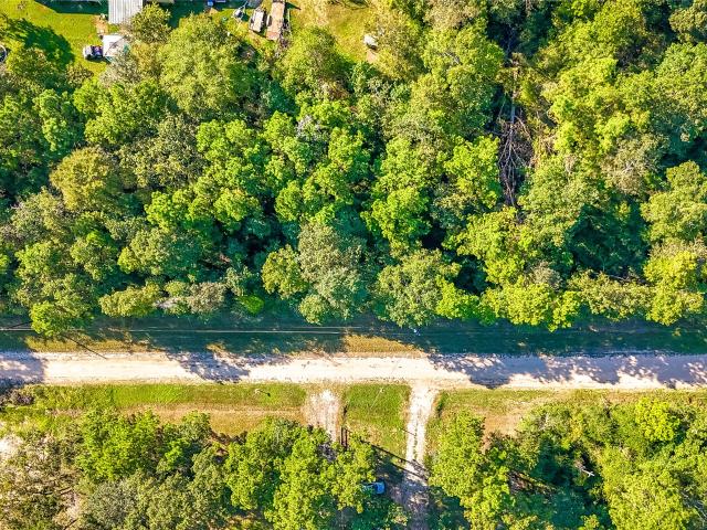 Land for sale in Polk, Texas