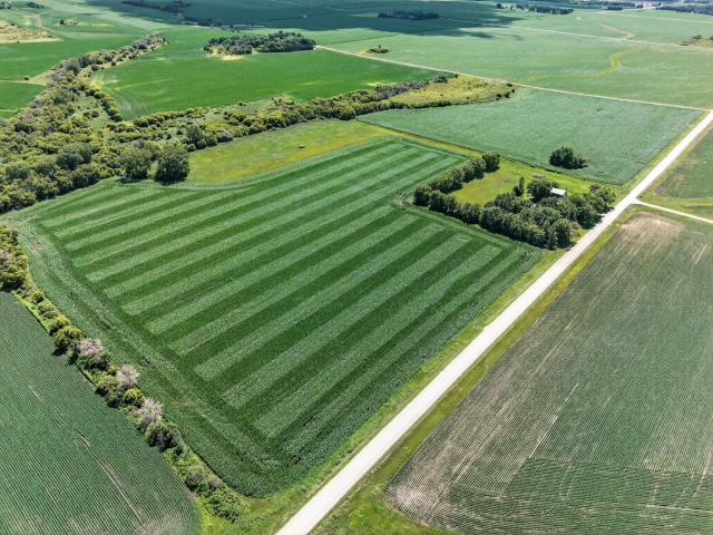 Land for sale in Minnesota