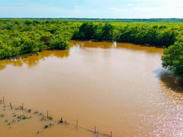 Farm for sale in Winters, Texas