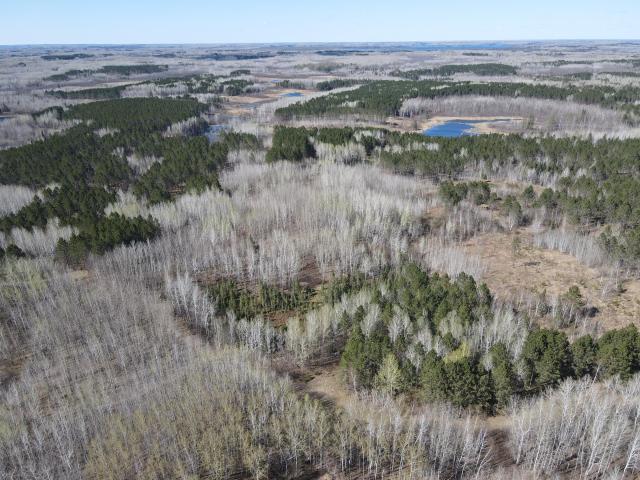 Land for sale in Minnesota