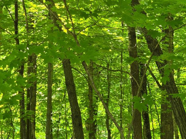 Land for sale in Becker, Minnesota