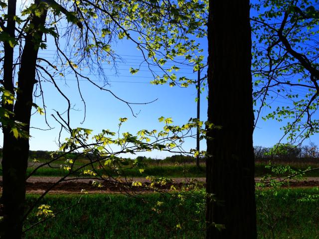 Land for sale in Todd, Minnesota