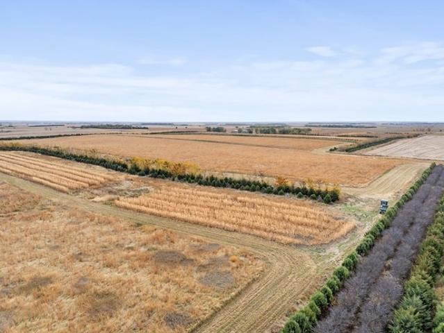 Farm for sale in Lake Andes, South Dakota