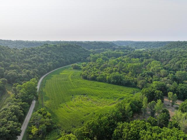 Land for sale in West Albany Township, Wabasha County