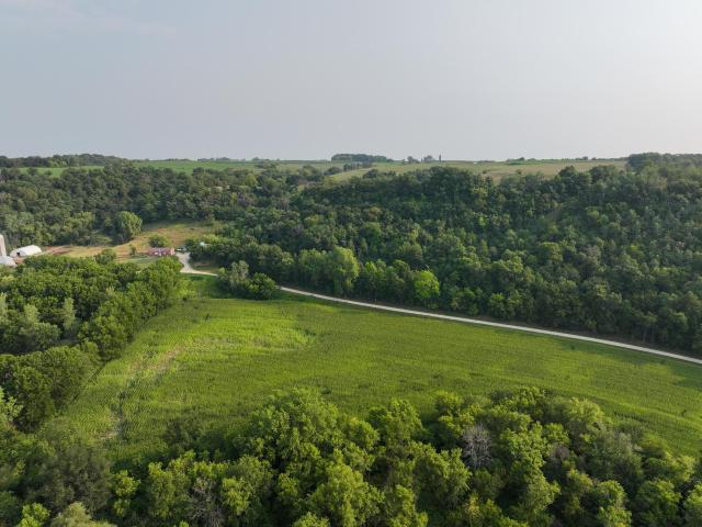 Land for sale in West Albany Township, Wabasha County