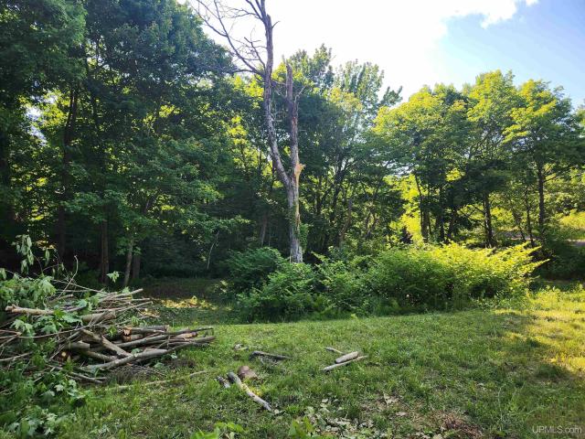 Land for sale in Houghton, Michigan