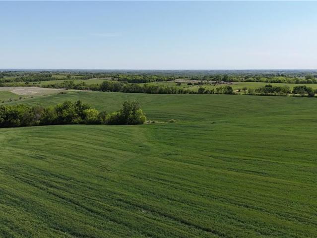 Farm for sale in Gentry, Missouri