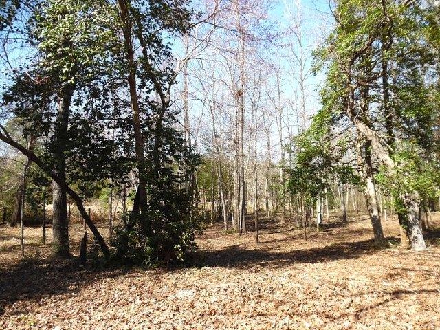 Land for sale in Henderson, Texas