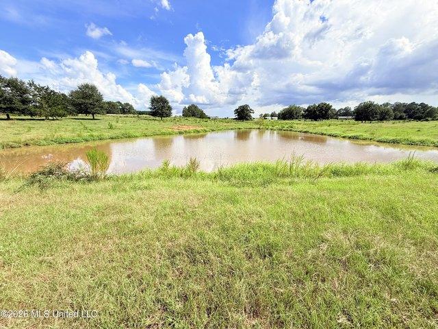 Land for sale in Bogue Chitto, Lincoln County