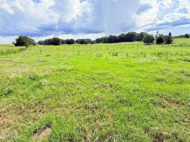 Land for sale in Lincoln County, Mississippi