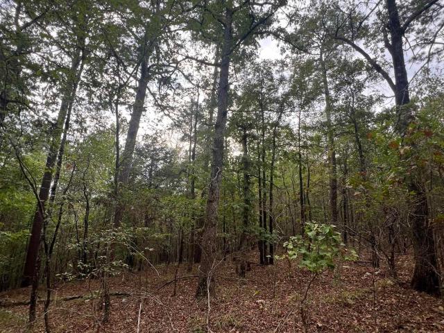 Land for sale in Mena, Polk County