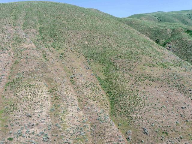 Land for sale in Weiser, Washington County
