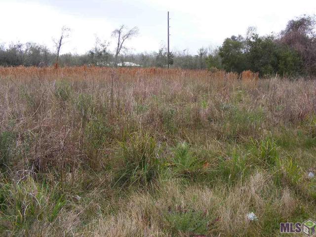 Land for sale in Galliano, Louisiana