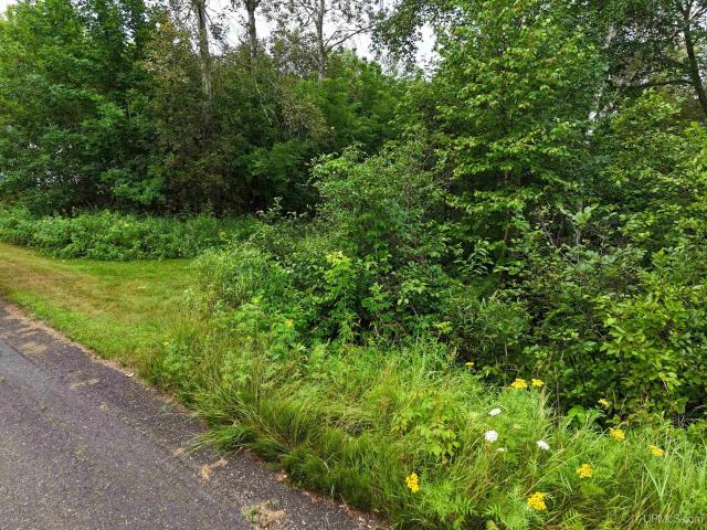 Land for sale in Michigan
